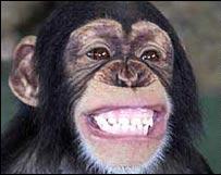 smiling_monkey.jpg
