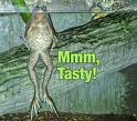 mmm tasty.jpg