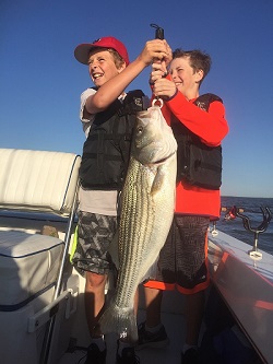 Noah's Record Striper 2_Small.jpg