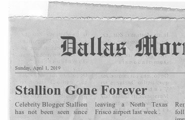 newspaper (2).jpeg