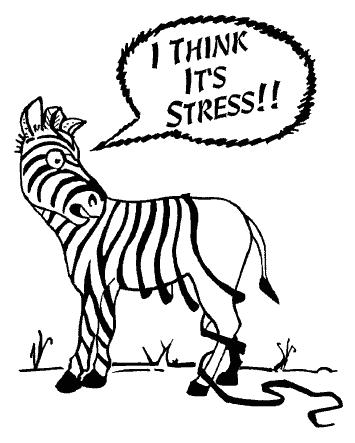 Stress-ZebraStripes.jpg